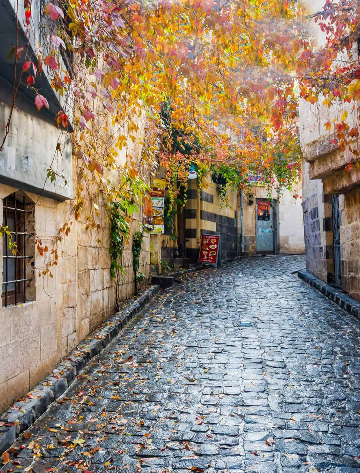 Autumn