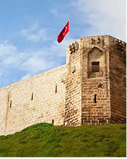 Gaziantep delicacy 1